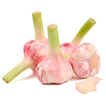 Чеснок 1 шт.